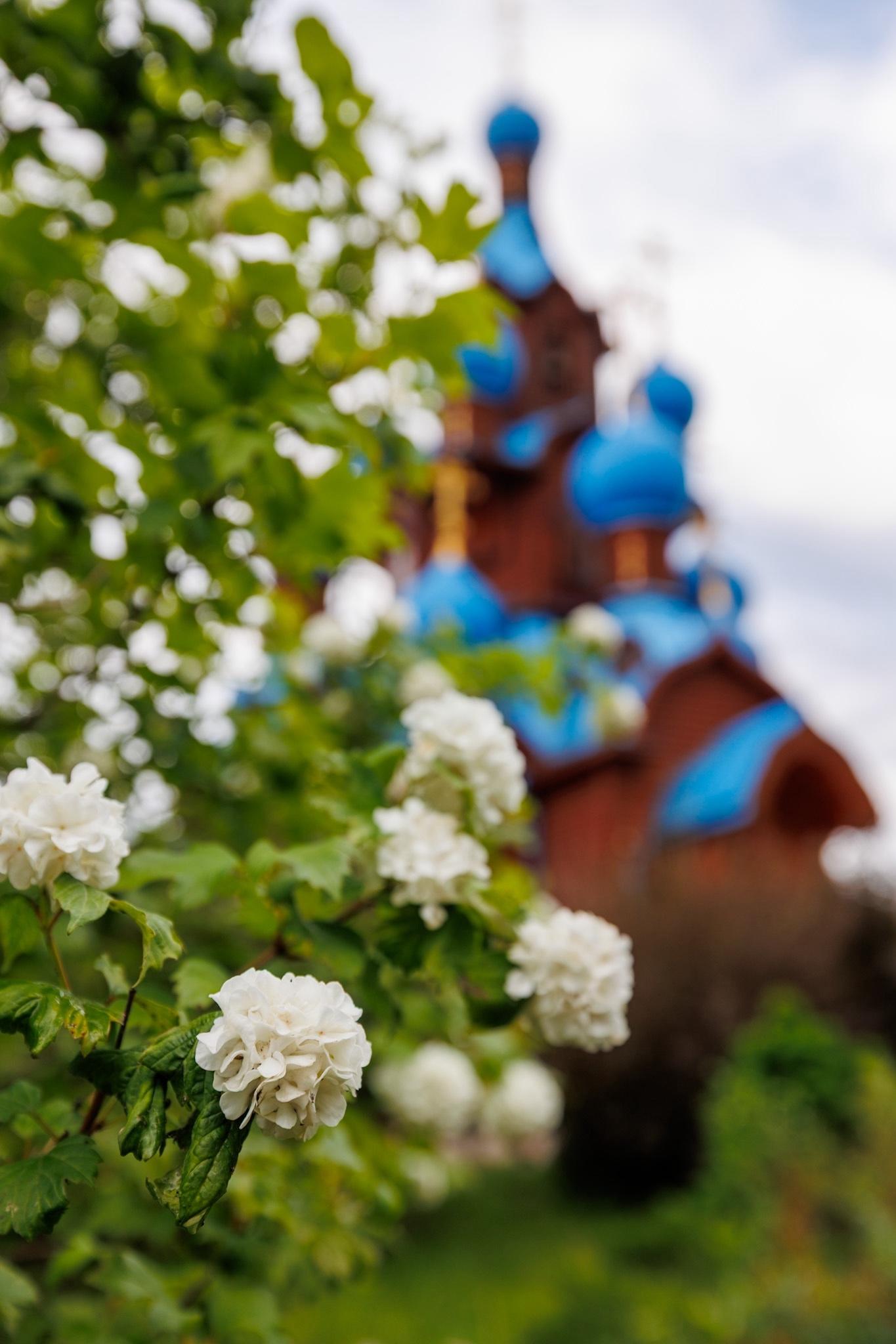 axsBzek_aaVnravaA2SL0ss2__0_HiHCgfOPYupb1U-hEnpTxixMz9hYdLAcycp49c-Et2o-qEguYgrWJi2GjuXw