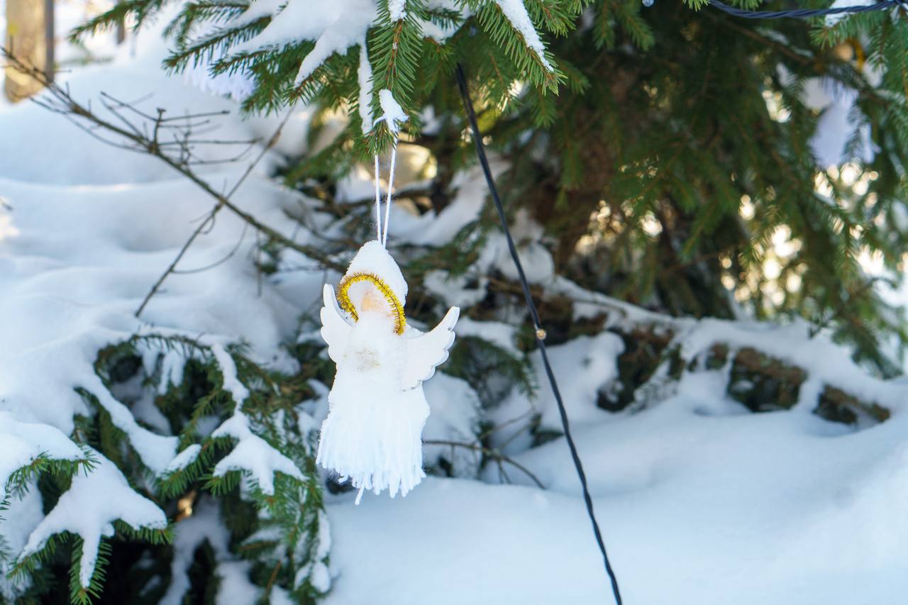 IMG_20260119_140558_003