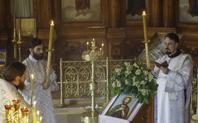 «От сокровищ земных явльшаяся…»